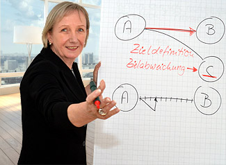 Unternehmensentwicklung / Strategie / Controlling-Systeme